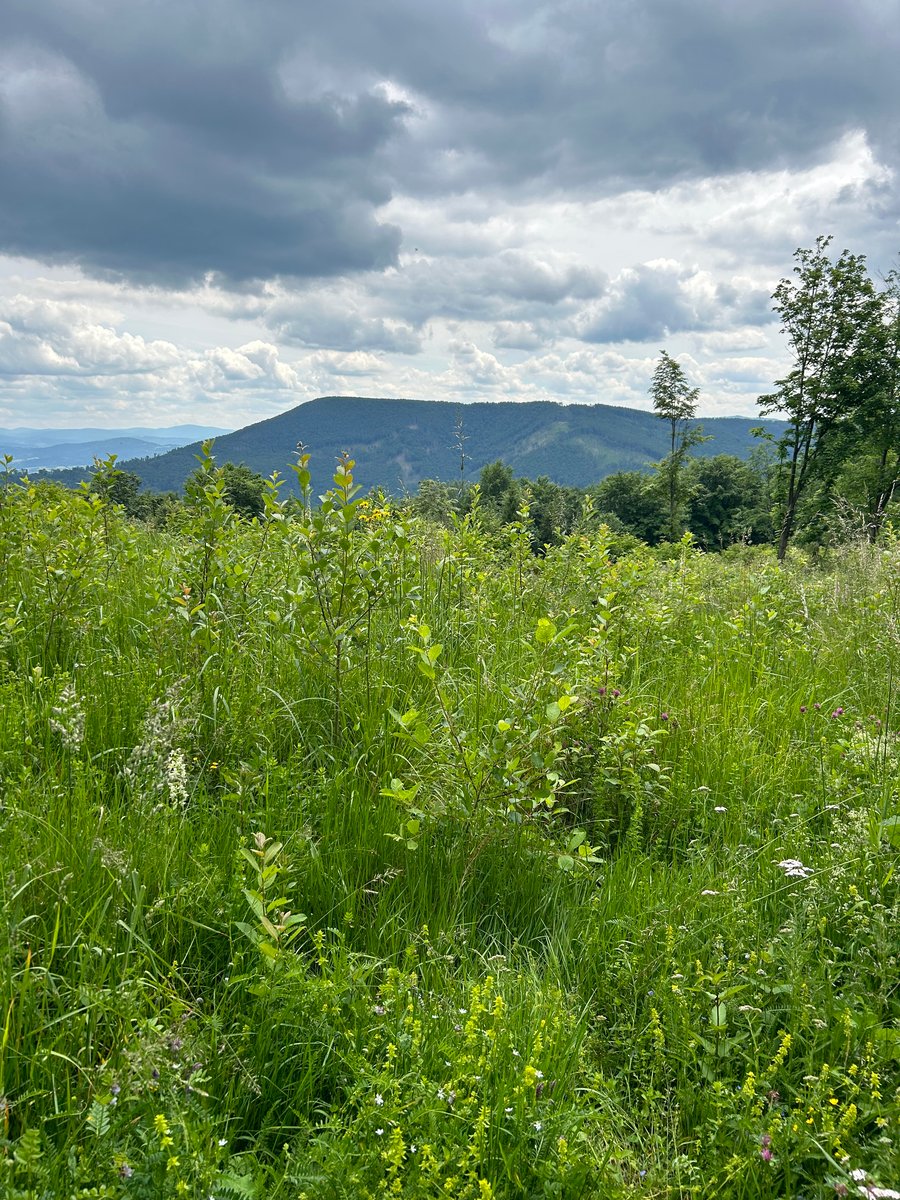 Feeling the stillness - Czech Yoga Retreat 24